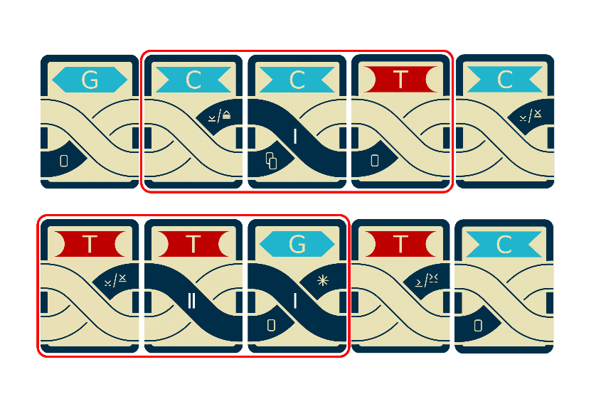 Codons diagram