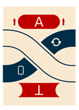 Final card